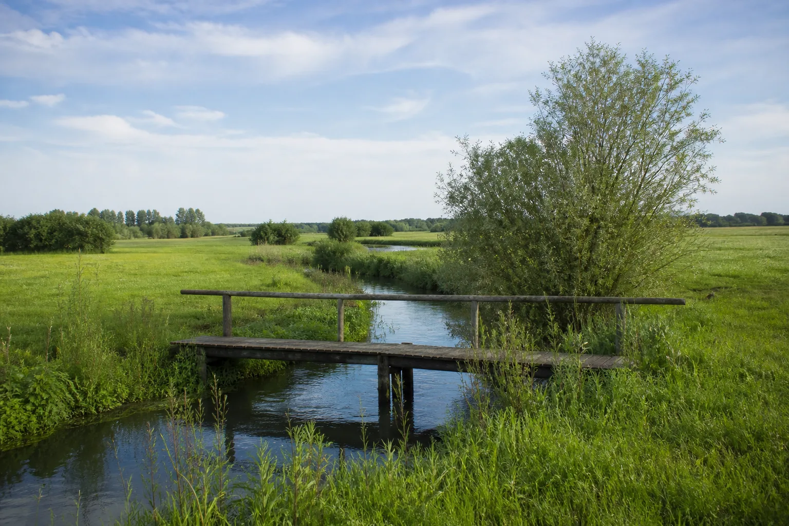 Selfkant: Rodebach am westlichsten Punkt im Selfkant