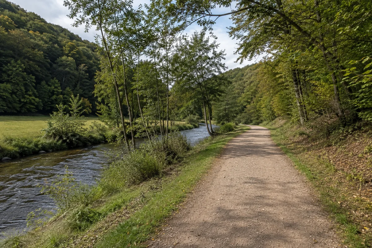 Breiter Talweg neben der schmalen Selke bei Straßberg, Uferwiese und Buchenwald an sanften Hängen