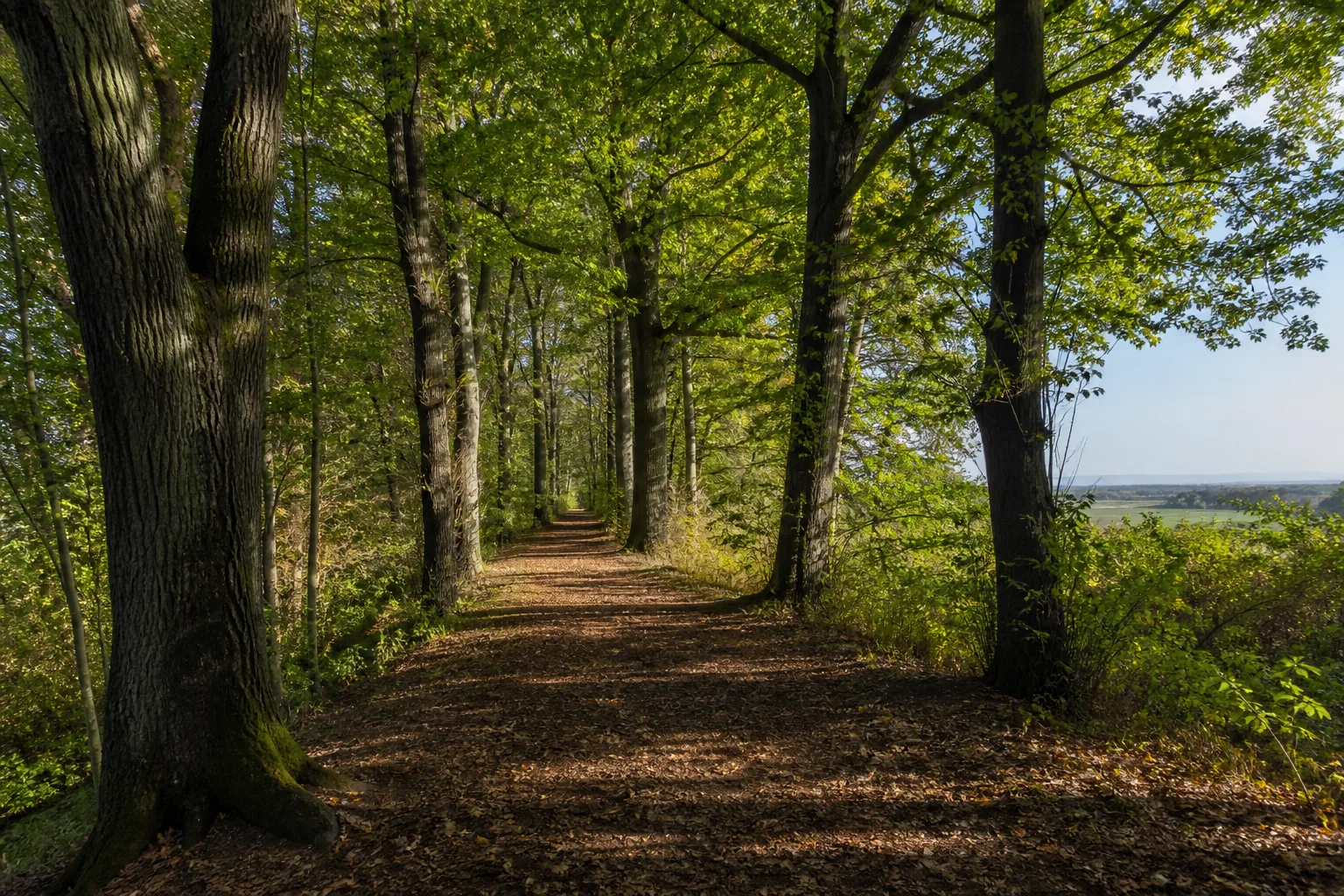 Selm: Cappenberger Wald und Schlosslandschaft