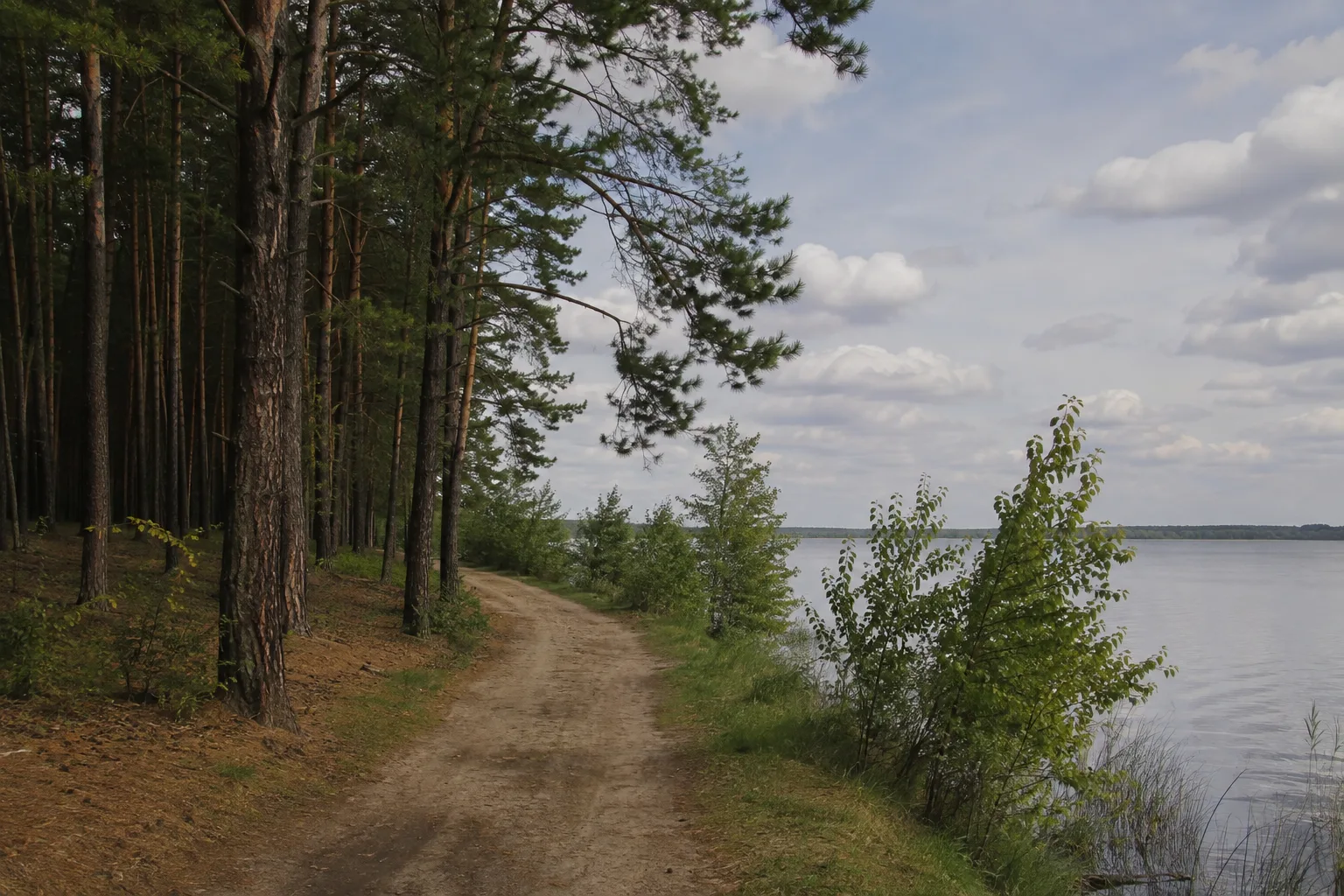 Großkoschener Ortsrand: Dorfwege zwischen Kiefernwald und freigegebenem Seeufer