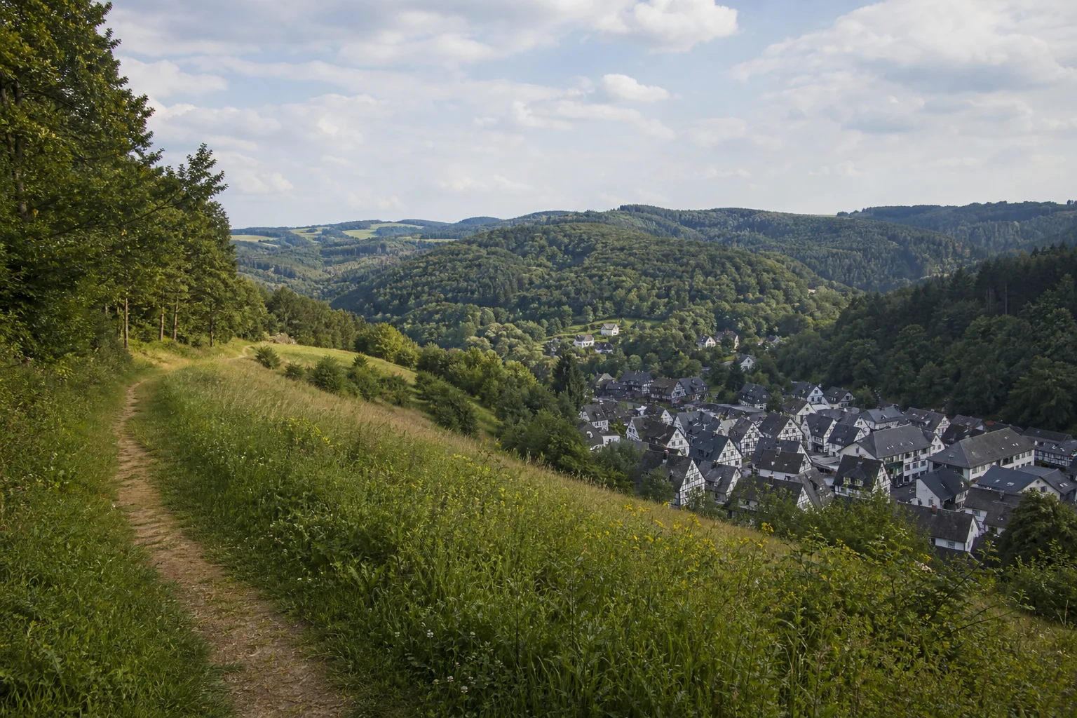 Wiesenpfad oberhalb des Alten Fleckens Freudenberg mit bewaldeten Hügeln im Siegerland