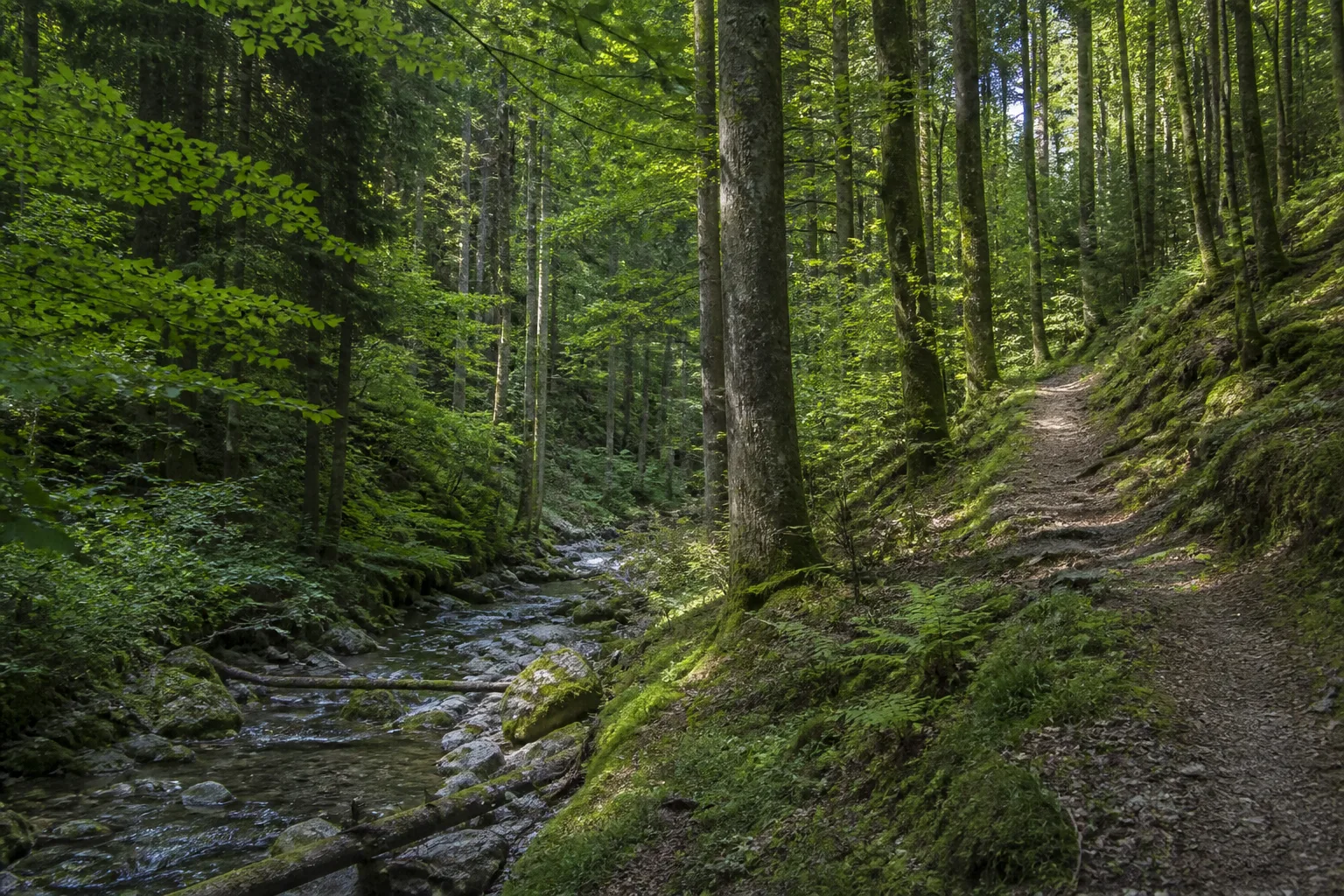 Renautal unter dem Kuhlenberg