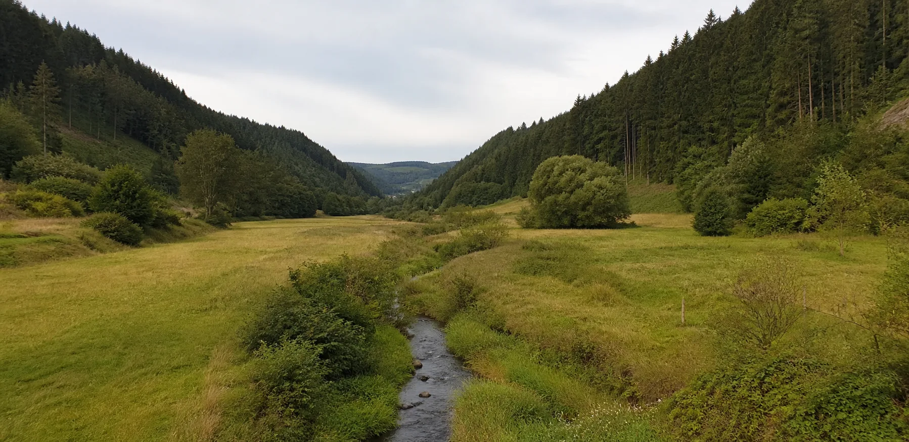 Silbach: Silbachtal und Waldhänge bei Silbach
