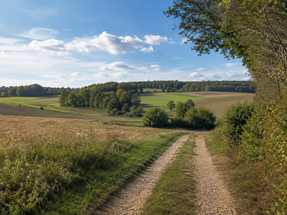 Flur bei Großengsee: Feldweg auf der Jura-Hochfläche bei Großengsee mit Hecken und Laubwaldinseln, sanft wellige Landschaft.