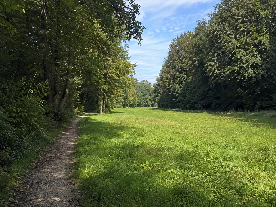 Sommerhofental: Grüne schmale Park- und Talwiese mit Fußweg und dichtem Laubbaumsaum am Sindelfinger Stadtrand