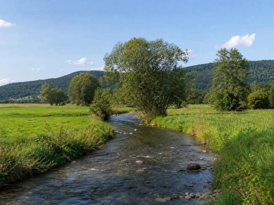 Aachtal bei Hausen: Kleiner klarer Fluss zwischen flachen grünen Wiesen mit Erlen und niedrigen Hügeln in der Ferne