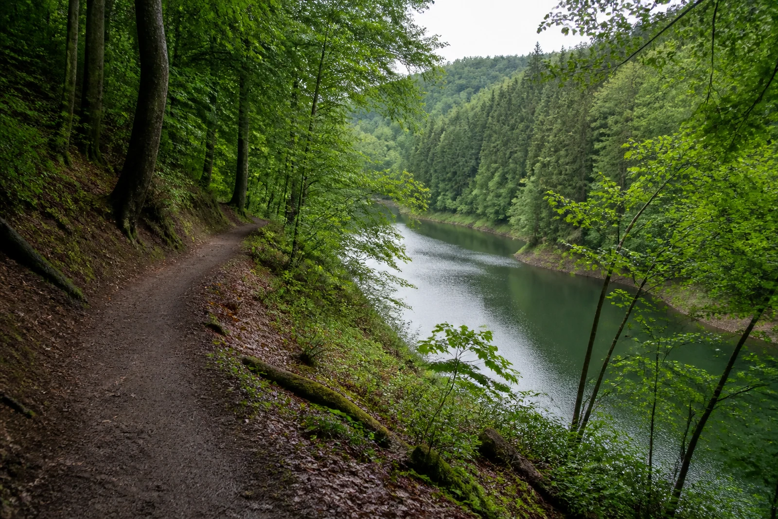 Waldweg über dem Wasser der Sengbachtalsperre in Solingen