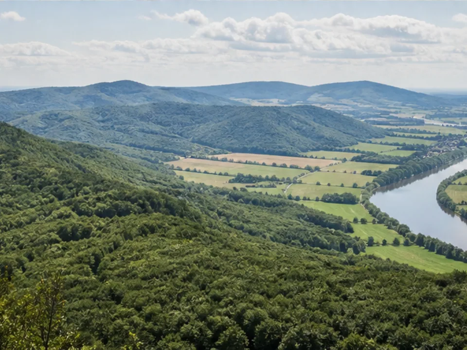 Vogler: bewaldete Kuppen über dem Wesertal