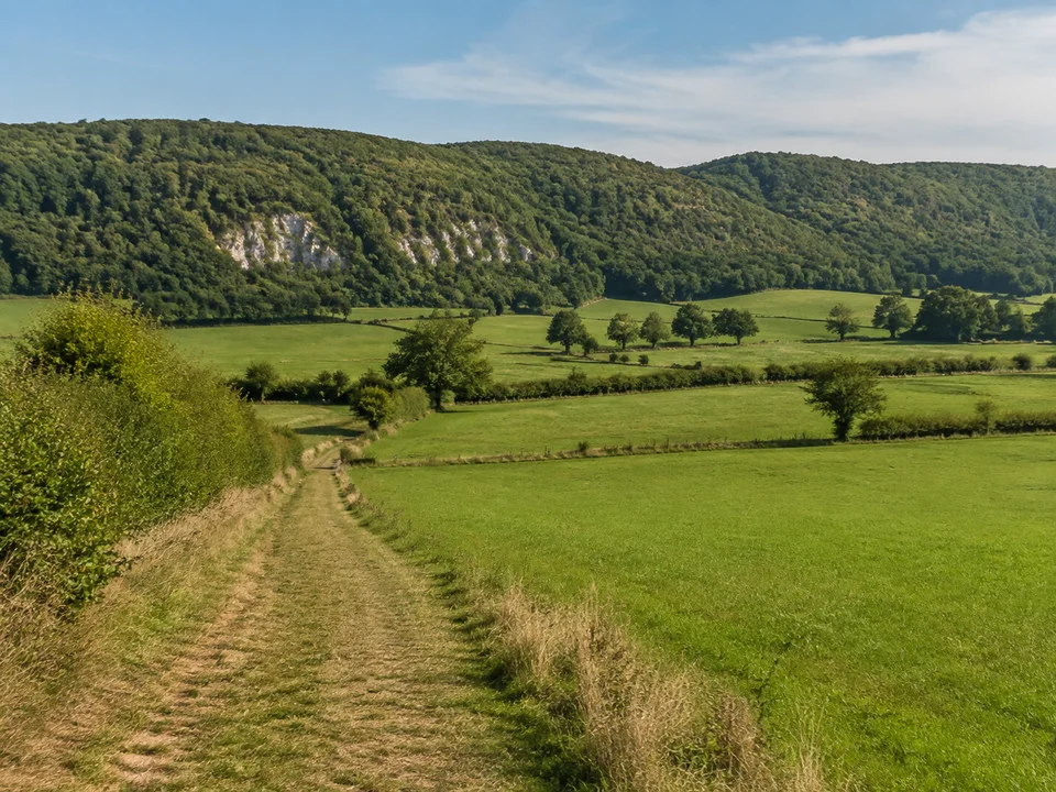 Hainleite bei Straußberg: Sanfte bewaldete Kalkhügel hinter grünen Wiesen mit Hecken und Feldweg