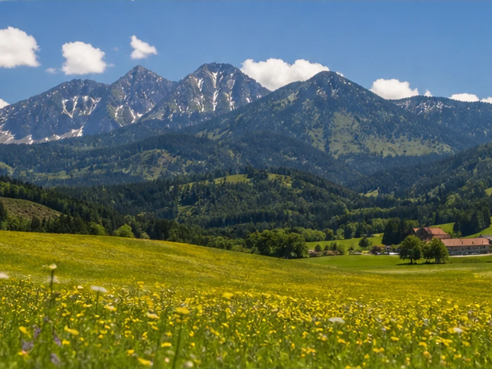 Altstädten: Blumenwiesen vor der Hörnergruppe