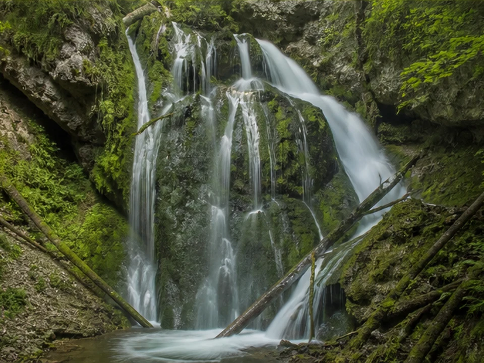 Hinanger Wasserfall: moosiger Wasserfall im Waldtobel
