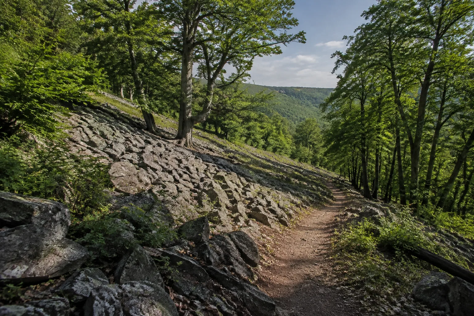 Großer Soon: einsame Buchenwälder und Blockhalden