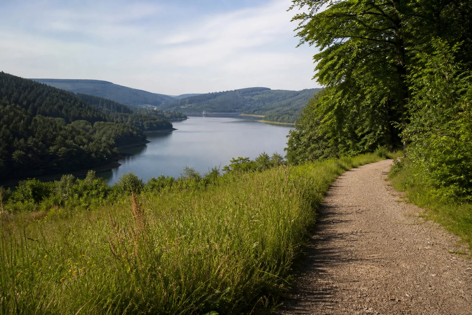Sorpesee: Sorpesee in Sorpesee