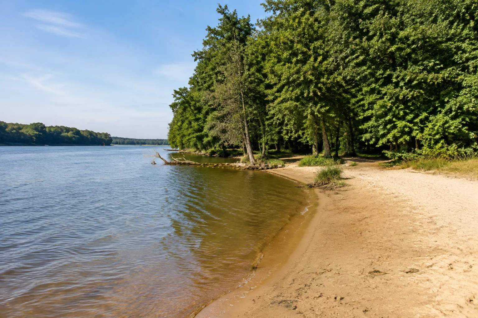 Spandauer Forst: Bürgerablage: Breites Havelufer mit sandiger Badestelle und Laubwald.