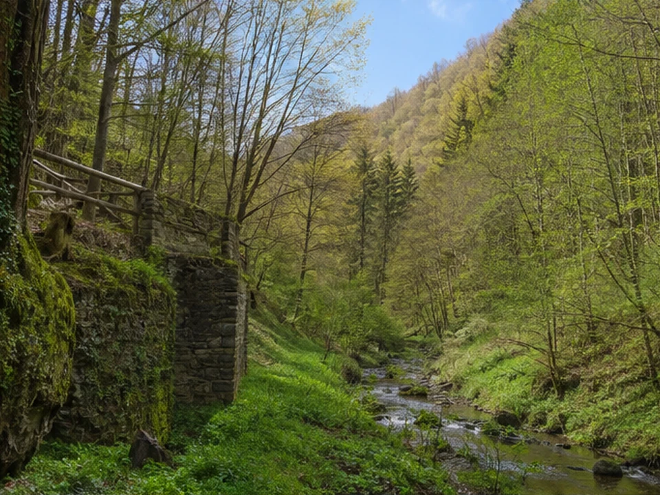 Rothenbuch: historischer Waldort am Hafenlohrtal