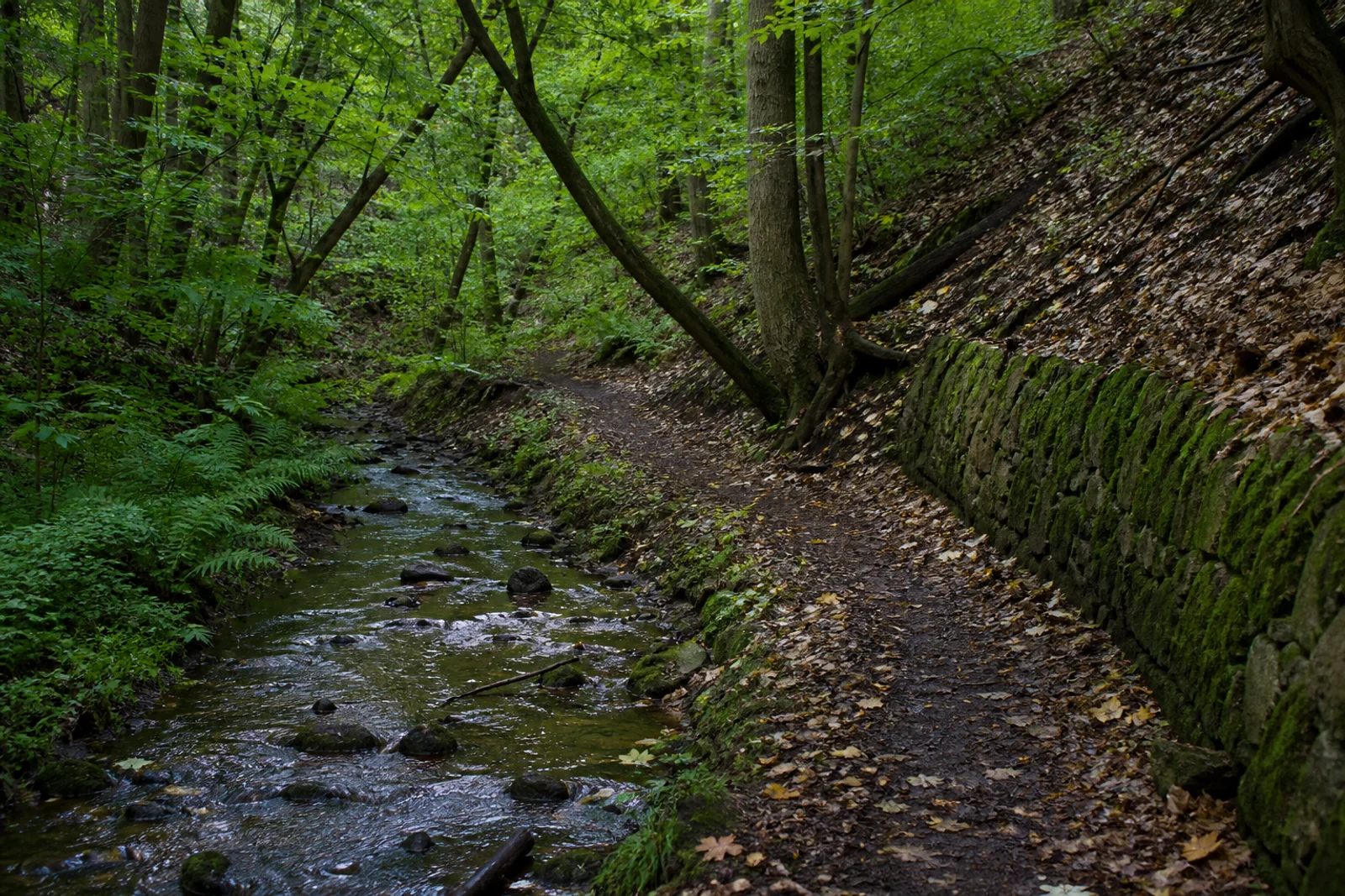 Bachpfad mit Bergbauspuren im Paasbachtal