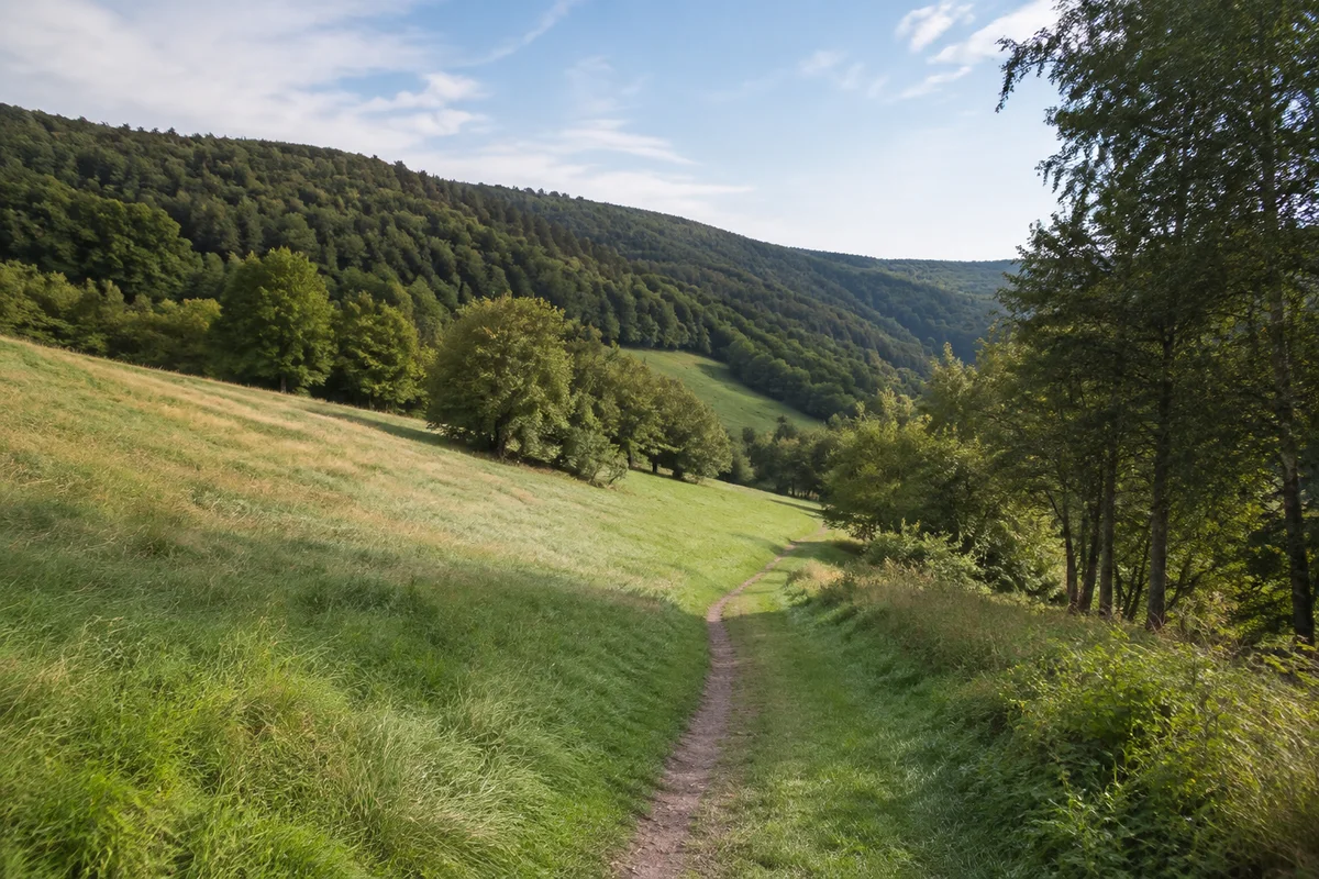 Westliches Seitental mit bäuerlichem Grünland unter bewaldeten Höhen.