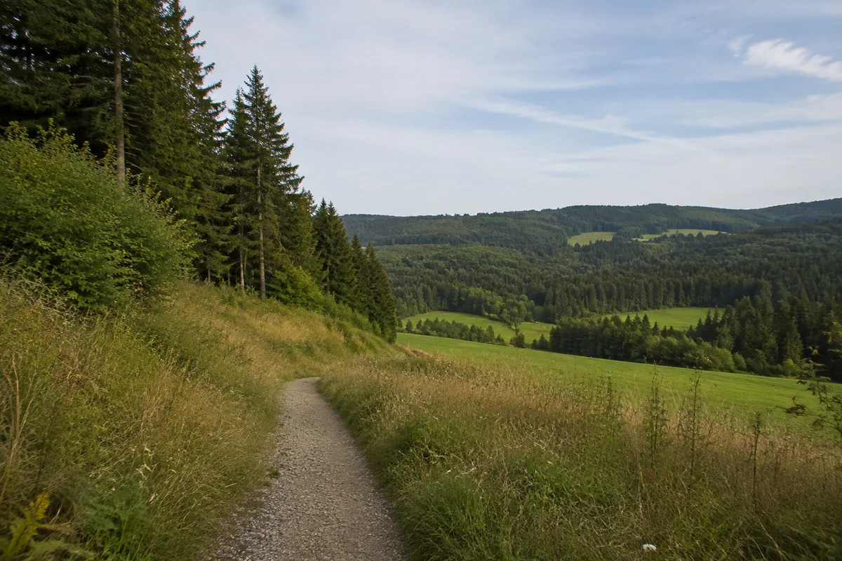 St. Georgen im Schwarzwald: St. Georgen Bahnhof: Hoch gelegener Stadtrand mit Waldsäumen und Wiesentalzugängen.