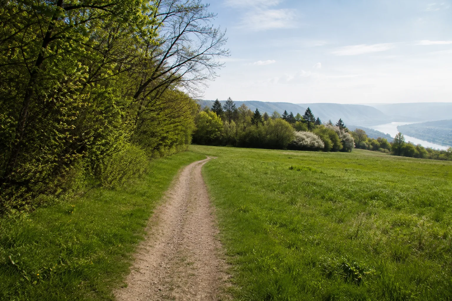 Rheinfels-Höhe: Burg und Wald über dem Rhein