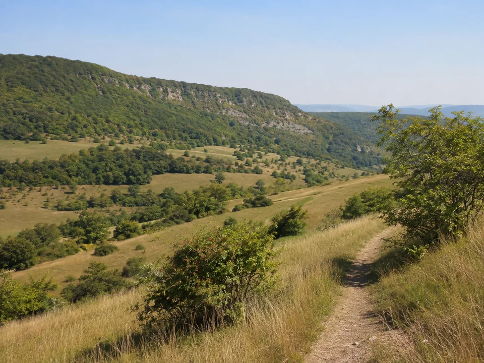 Jurahänge bei Uetzing: Offene Wiesen und Hecken über Uetzing mit bewaldeten fränkischen Jurahängen, ein klar erkennbarer öffentlicher Wanderweg