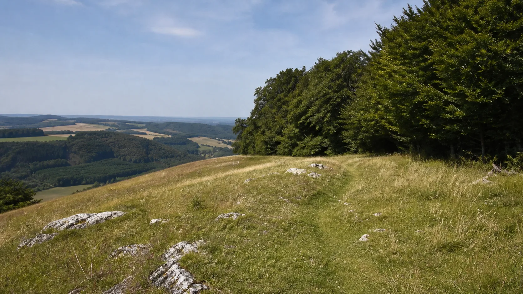 Wald- und Wiesenweg am Feldberg
