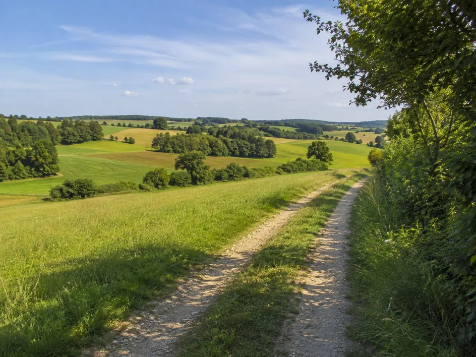 Hanfelder Fluren nördlich Starnberg: sanfte grüne Moränenhügel mit Feldern, Hecken und breitem Feldweg