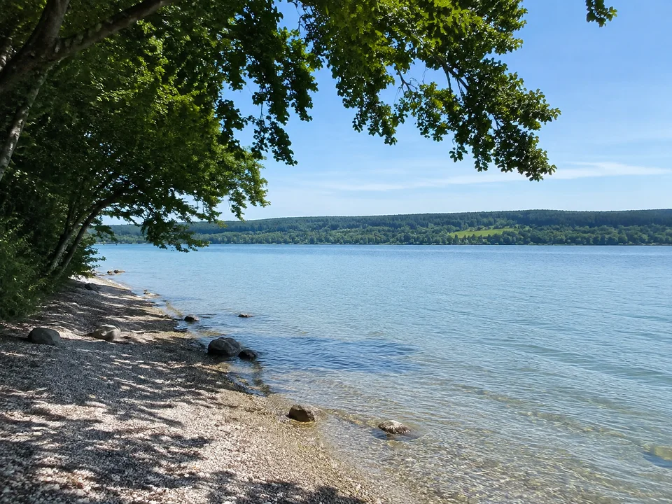 Ammersee bei Herrsching: weiter blaugrüner See mit niedrigem bewaldetem Gegenüber, Kiesufer und schattige Bäume