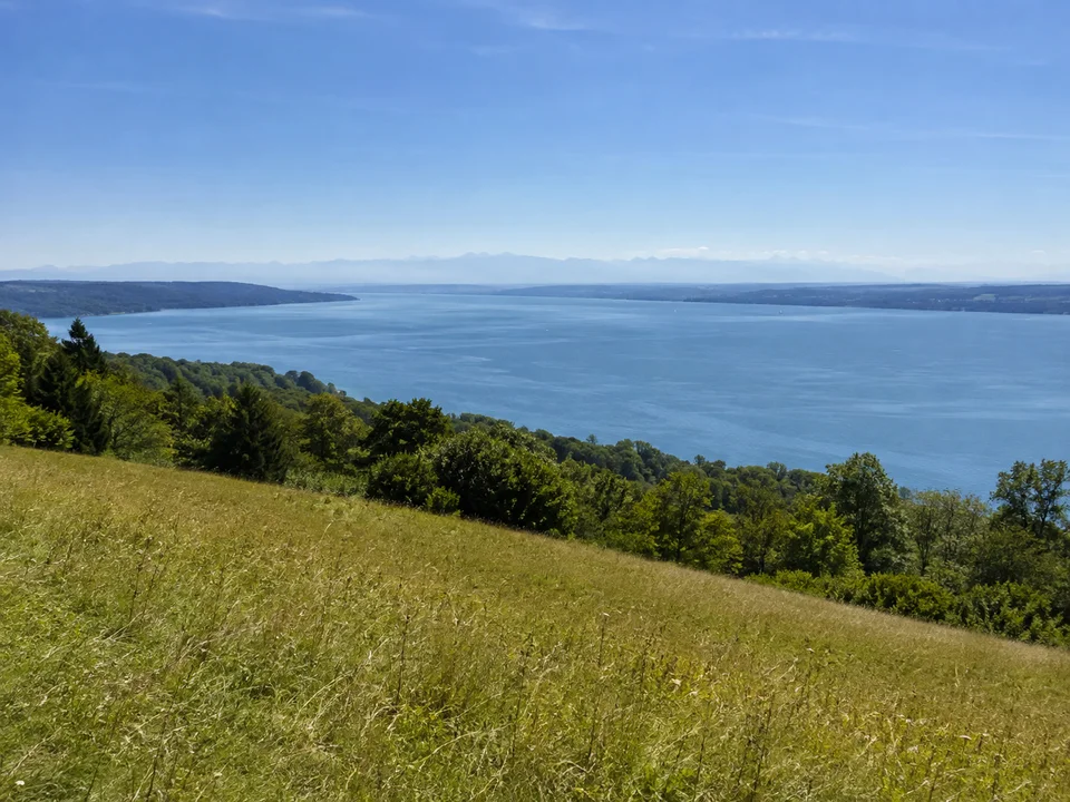 Westhang des Starnberger Sees oberhalb Tutzing: Wiesenhang mit weitem Blick über den langen See, ferne blasse Alpen klein am Horizont