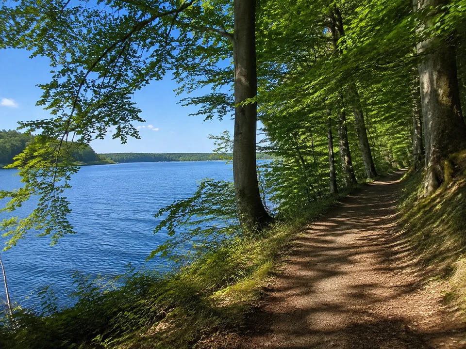 Östliches Seeufer bei Berg: schattiger Laubwaldweg nahe ruhigem tiefblauem Wasser, natürlich niedrige bewaldete Ufer