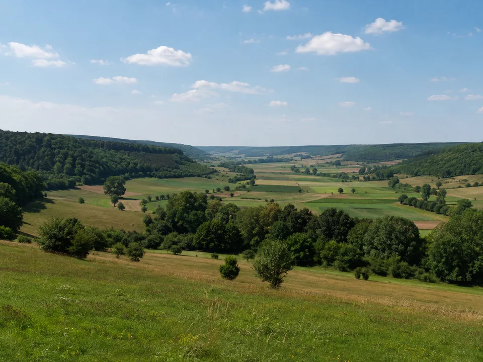 Wiesental bei Scheinfeld: Sanftes breites Wiesental bei Scheinfeld zwischen kleinen Feldern und bewaldeten Keuperrücken