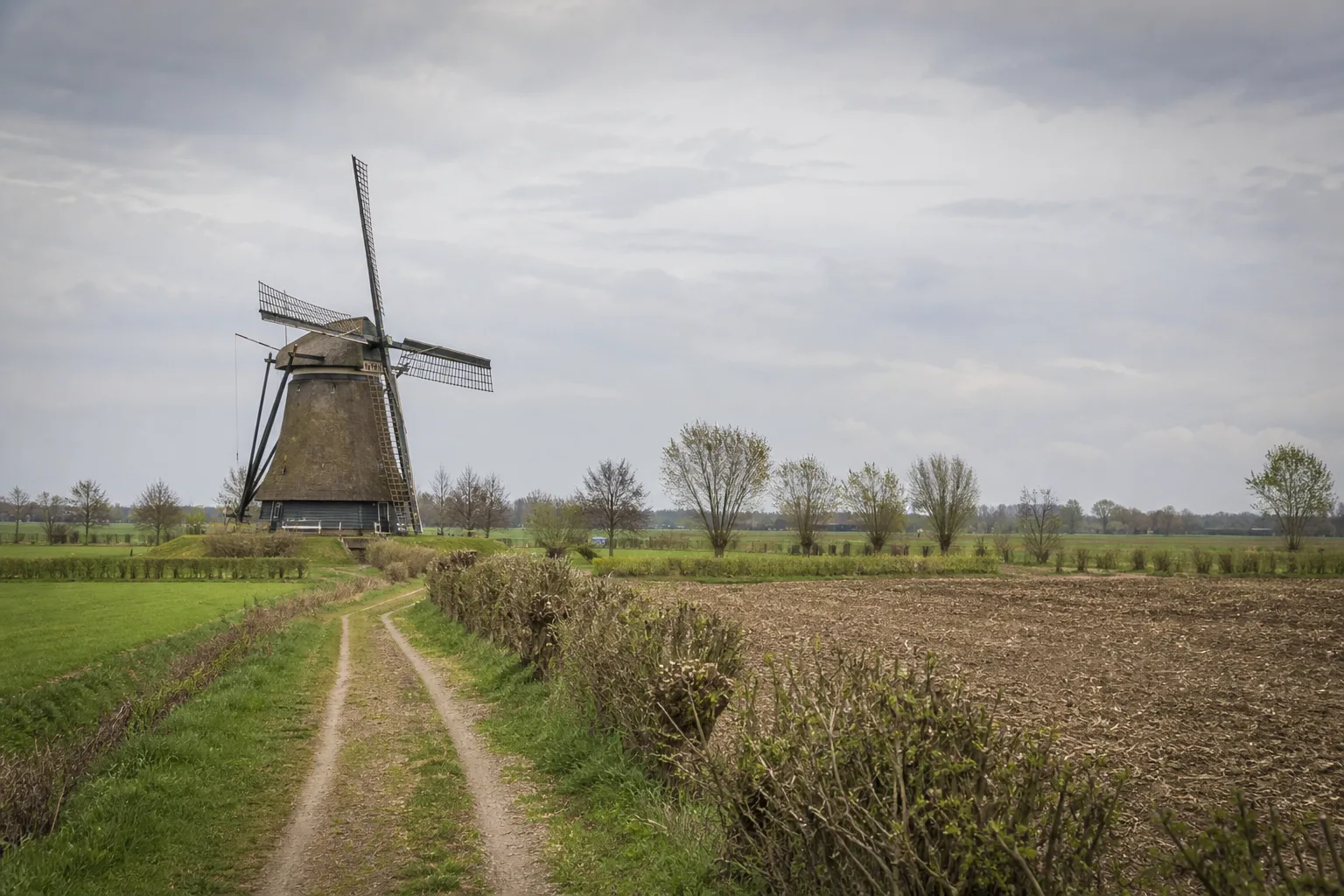 Feldweg zur Hollicher Windmühle