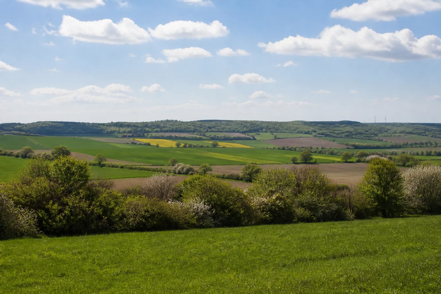 Steinheim: Weite Felder der Steinheimer Börde