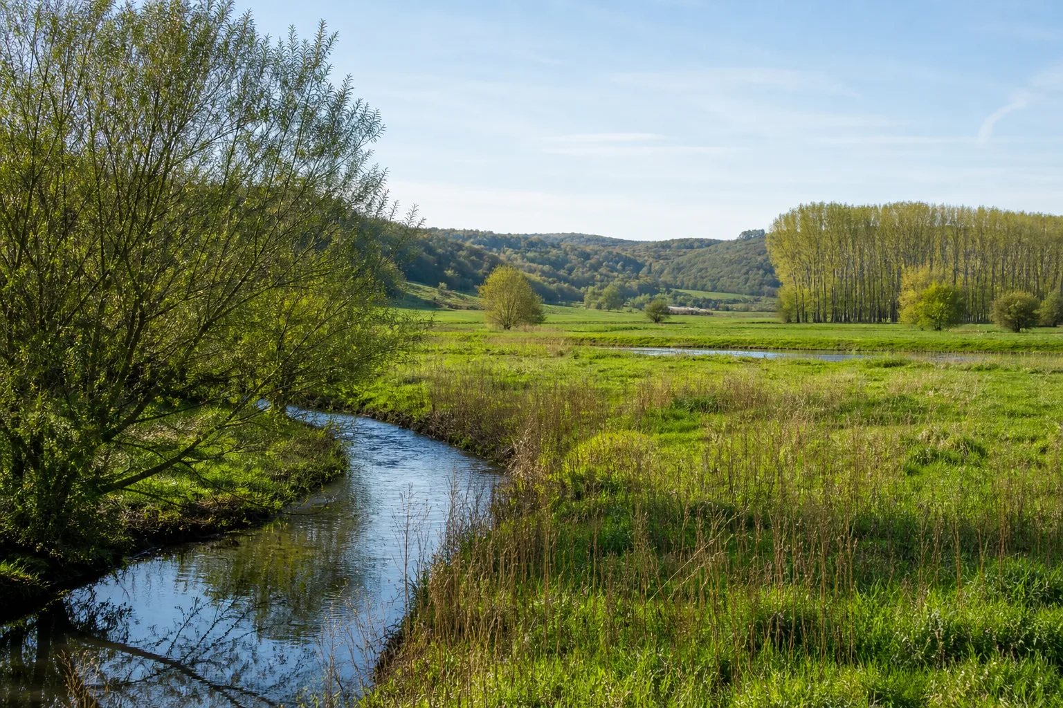 Wiesenweg an der Emmer bei Bergheim