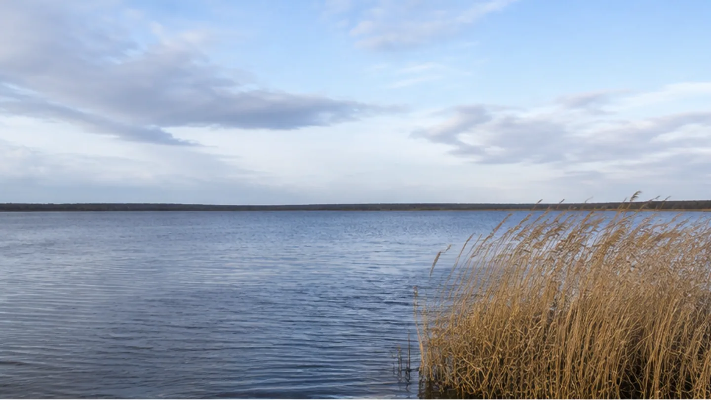 Steinhuder Meer: Steinhuder Meer: weiter Flachsee mit Schilfufer und niedrigem Horizont