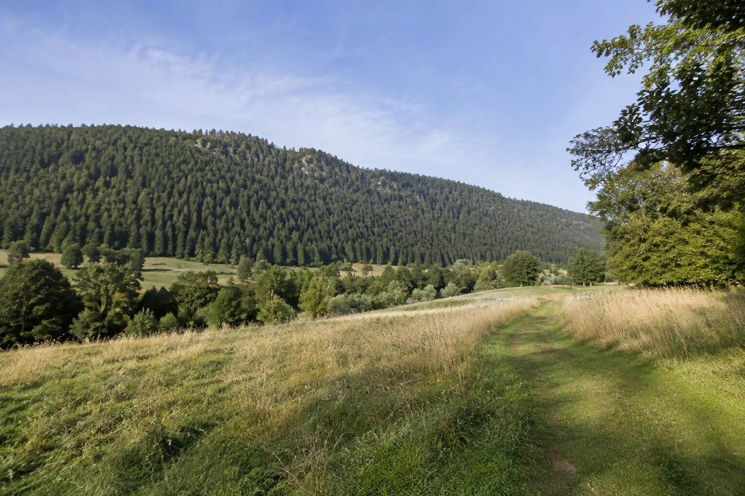 Steinwald: Erbendorf: Südlicher Steinwaldrand: Wiesenweg oberhalb der Fichtelnaab mit langgezogenem dicht bewaldetem Granitrücken.