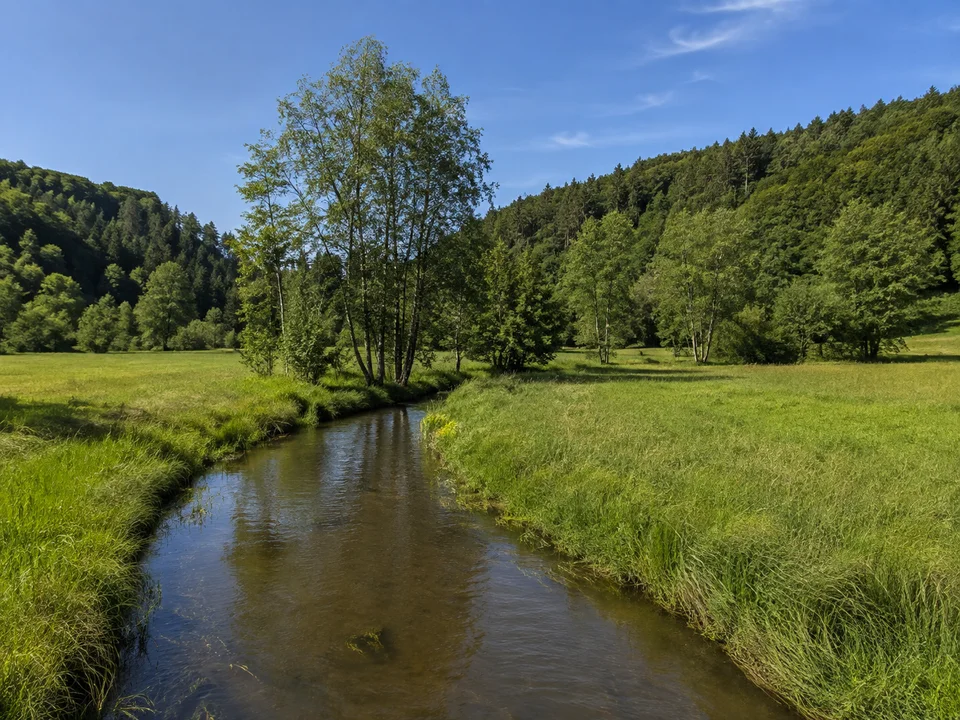 Stockacher Aachtal: Schmaler Bach zwischen flachen grünen Wiesen mit Erlen und niedrigen bewaldeten Talhängen