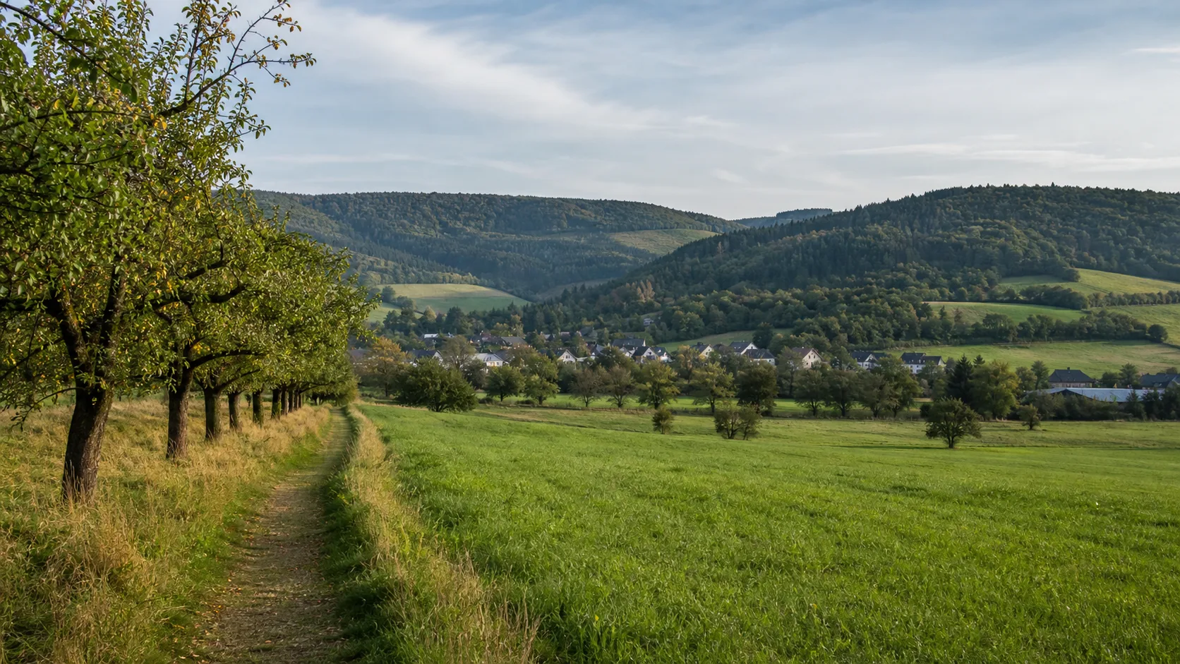 Stockum: Bewaldete Kuppen des Stockumer Siebengebirges