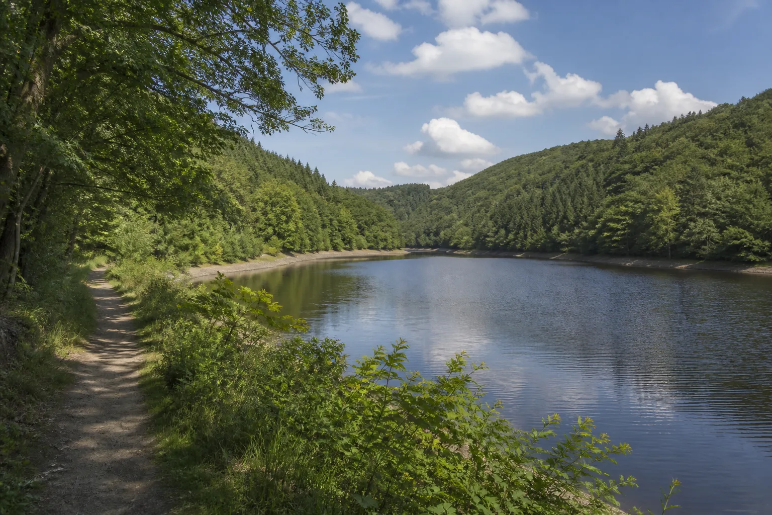 Waldweg an der Wehebachtalsperre bei Stolberg