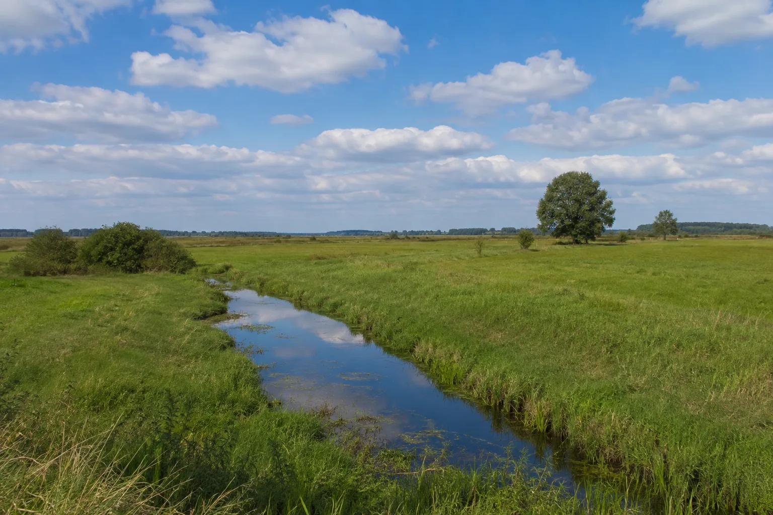 Philadelphia und Luchwiesen: Offene Feuchtwiesen mit Gräben und niedrigem Horizont