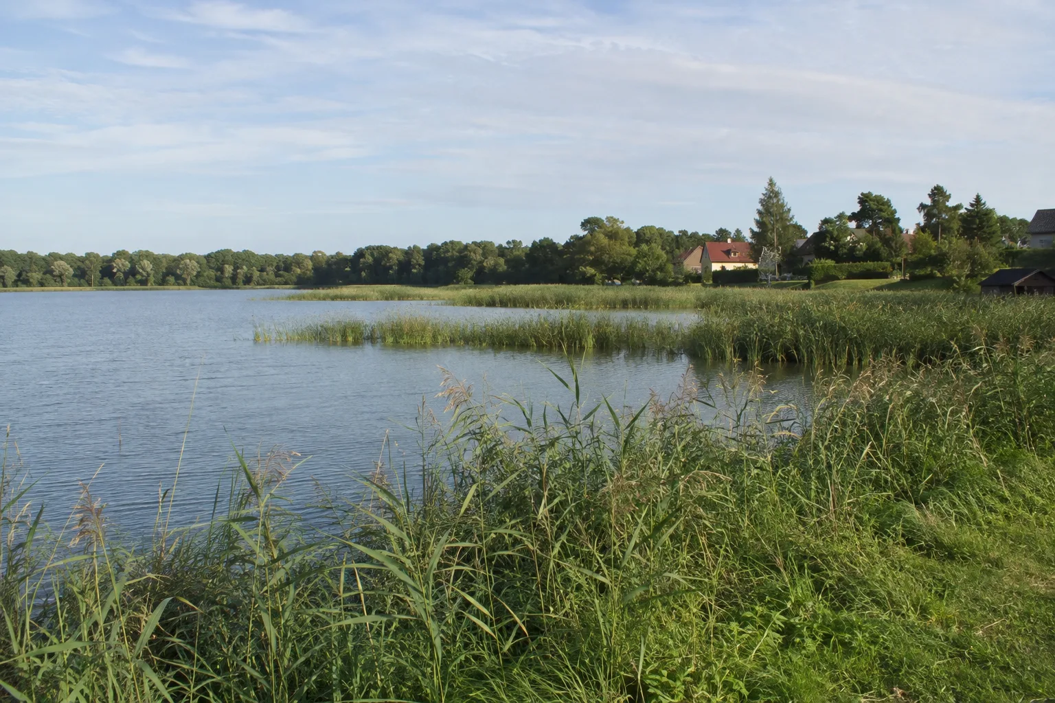 Groß Schauener Seezugang: Schilfgesäumte Wasserflächen und dörfliche Wiesenränder