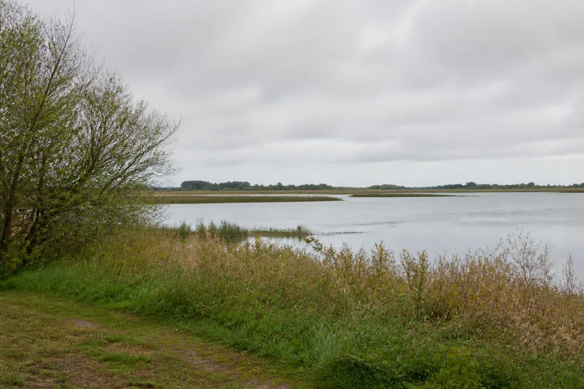 Strelasundufer bei Devin mit Wiese und flacher Wasserfläche
