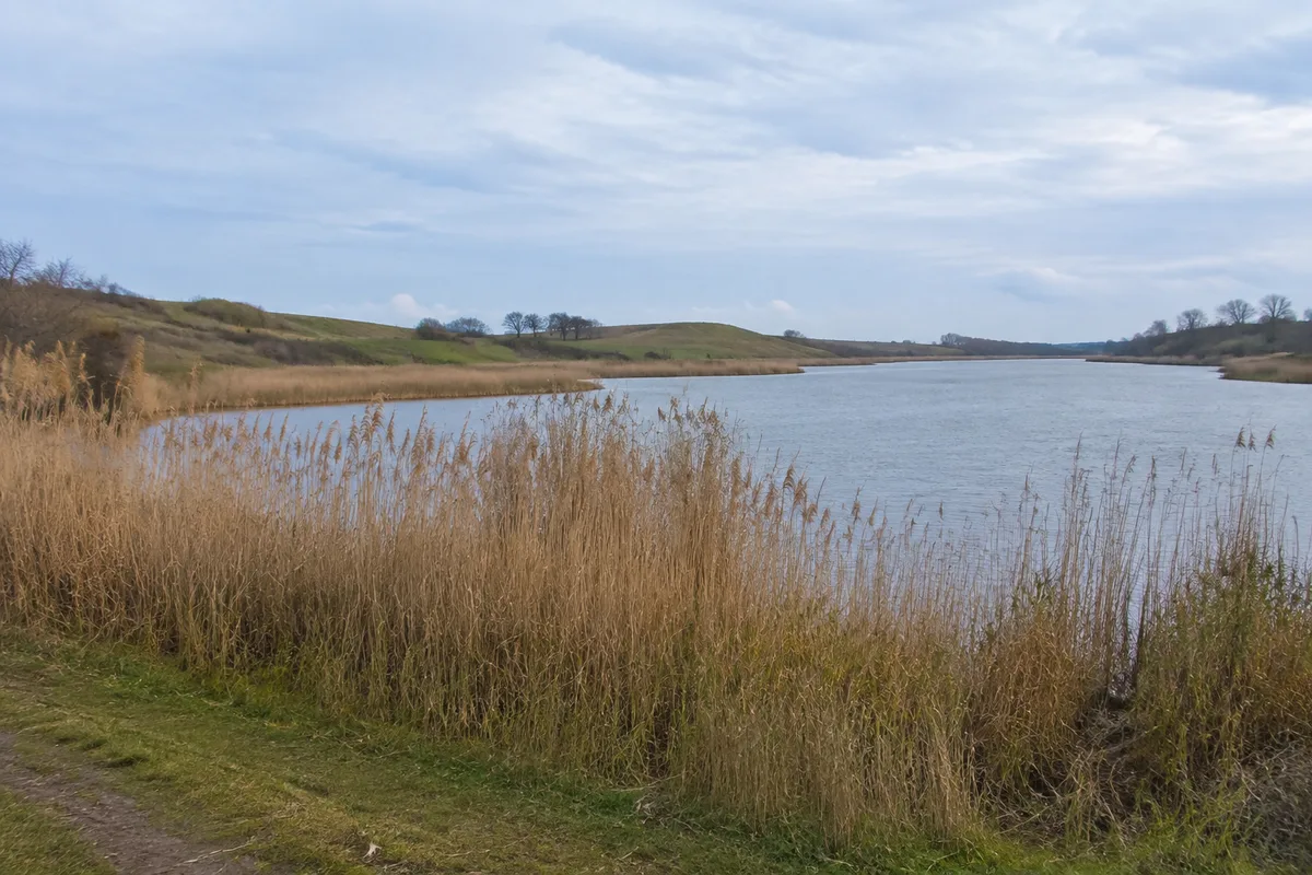 Teichlandschaft bei Voigdehagen mit Schilf und niedrigen Hügeln