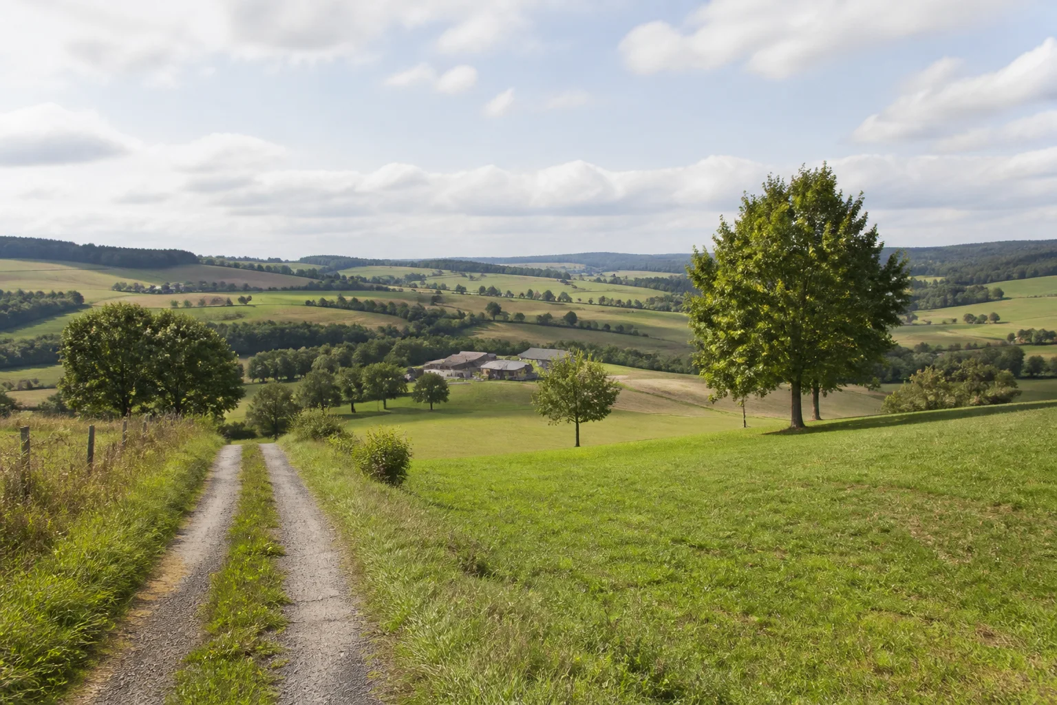 Bitburger Gutland: sanfte landwirtschaftliche Hügel mit einzelnen Obstbäumen, Feldweg und kleinen Eifeler Hofgruppen.