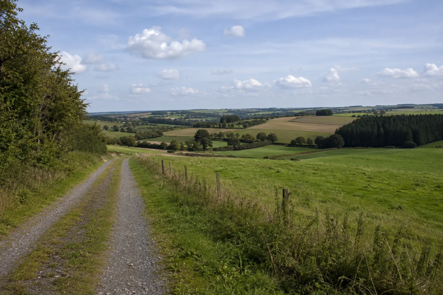 Südeifel: Islekhochfläche bei Arzfeld: weiter Weg durch wellige Wiesen und Felder, Hecken und niedrige Waldinseln unter offenem Himmel.