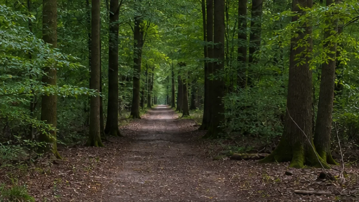 Laubwaldweg bei Buschhoven