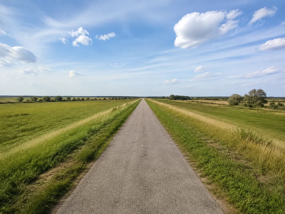 Bucher Deichlandschaft: Gerader befestigter Deichweg über weiten grünen Wiesen unter norddeutschem Himmel