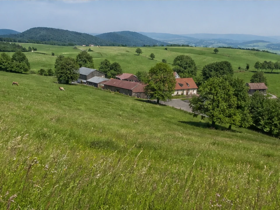 Offene Höhen: Wiesen über Dietgeshof mit weitem Blick