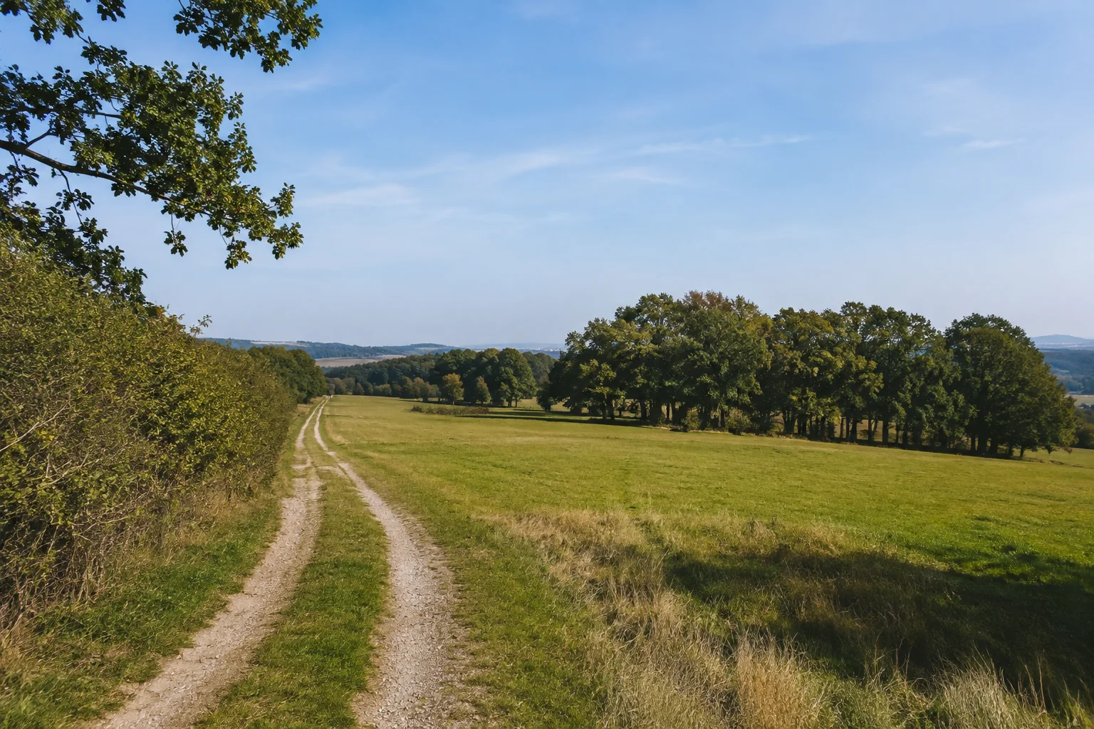 Dienstädter Flur: offener Feldweg zwischen Wiesen, Hecken und kleinen Laubwaldinseln auf einer sanften Hochfläche.