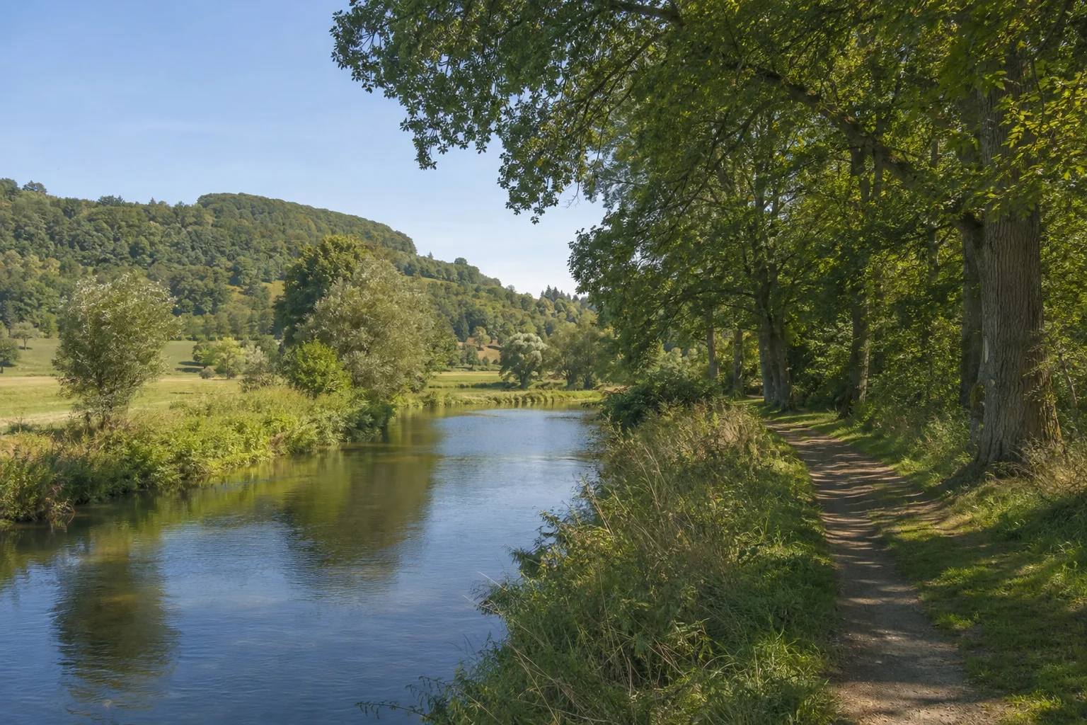 Tauberbischofsheim: Tauber bei Tauberbischofsheim: kleiner grüner Fluss mit Baumsaum, Talwiesen und niedrigem Hang, normaler Uferweg.