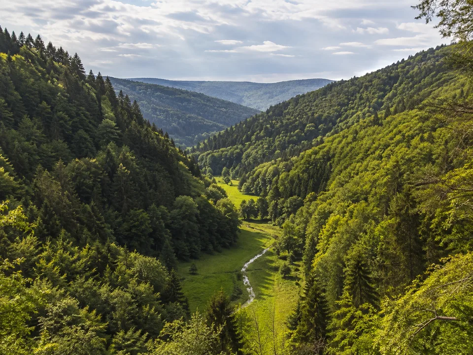 Weiltal: schmales grünes Tal zwischen dichtem Mischwald